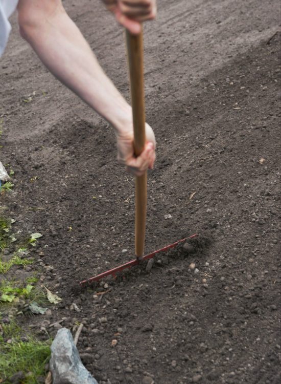 FlowerTex prepare soil
