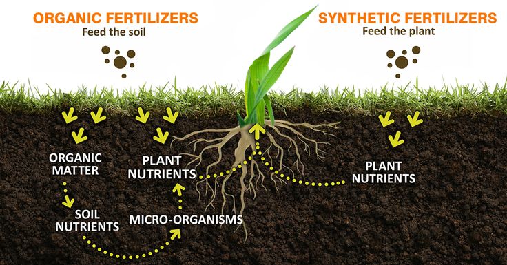 fertiliser why Use fertilisers
