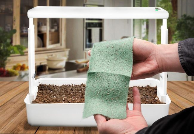 herbtex-technology-makes-it-easy-to-grow-microgreens-in-pots
