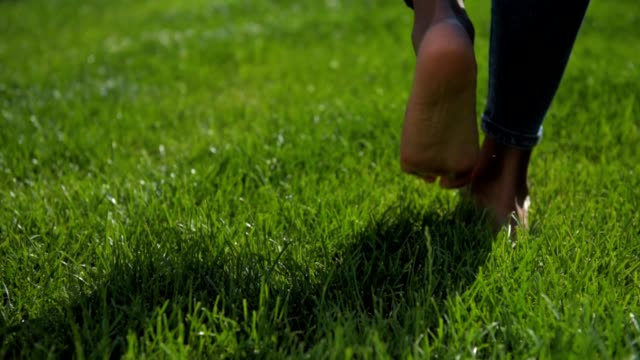 Maintenance Grass Mat And Wildflower Maintenance Tips maintenance-grass-mat-and-wildflower-maintenance-tips