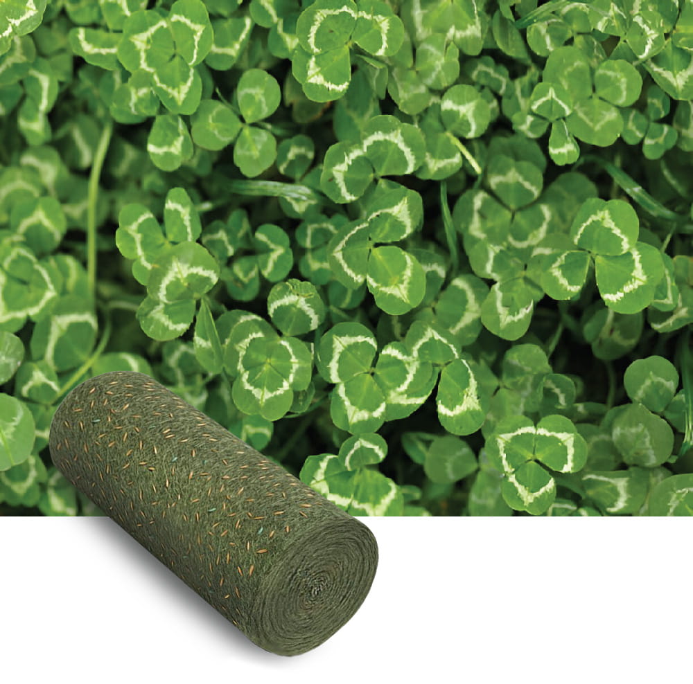 Turfquick Microclover grass seed mat roll