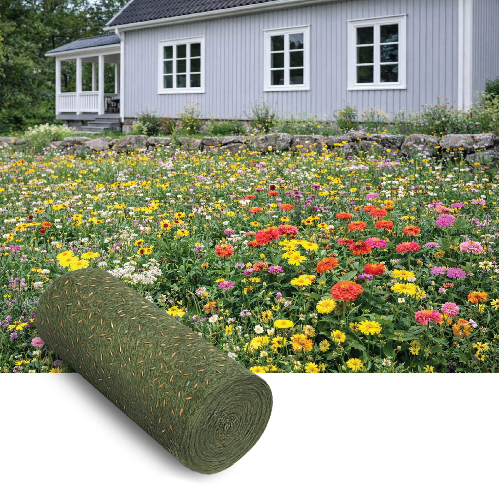 Low Grow Wildflowers