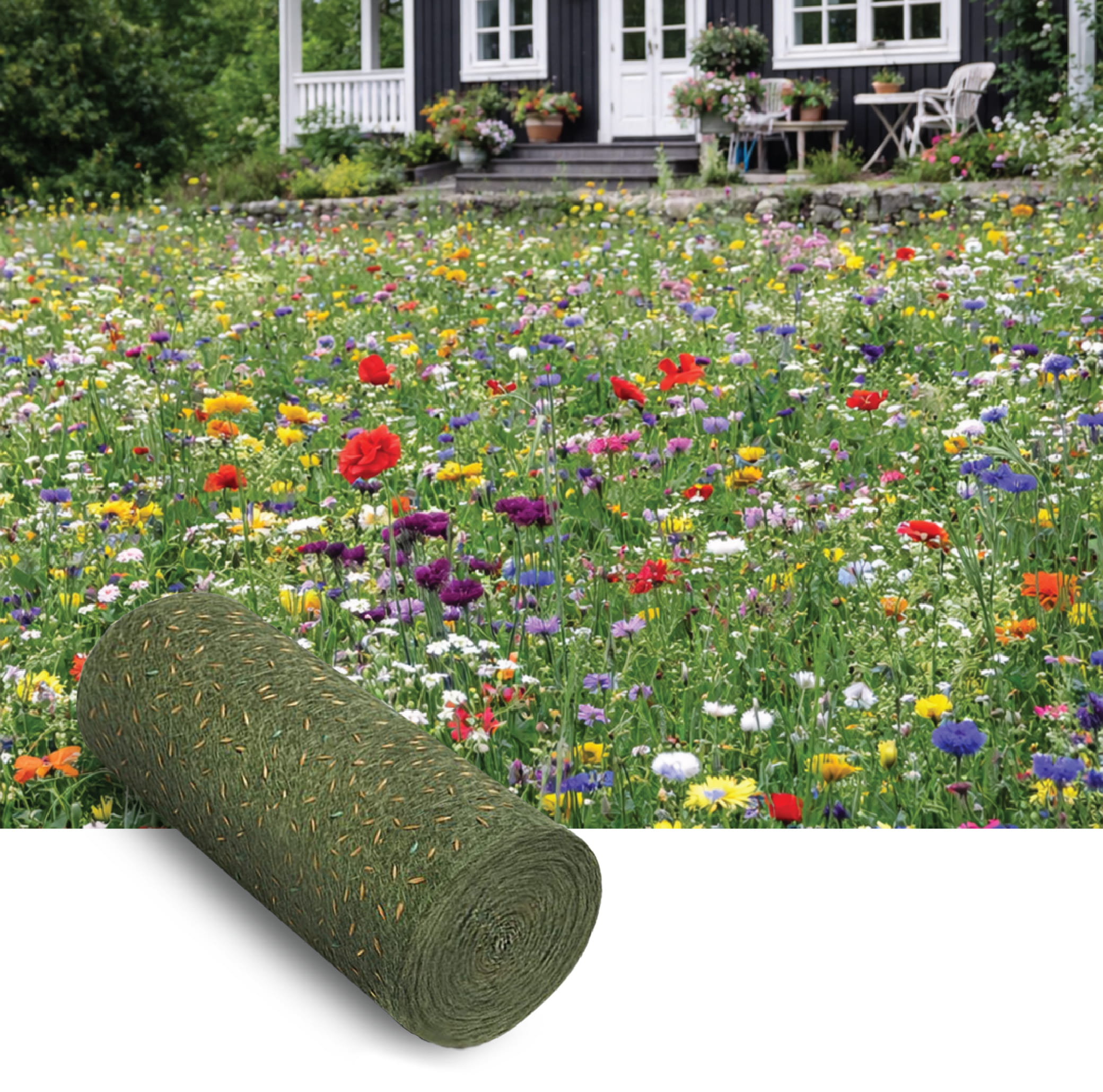 Medium Grow Wildflowers