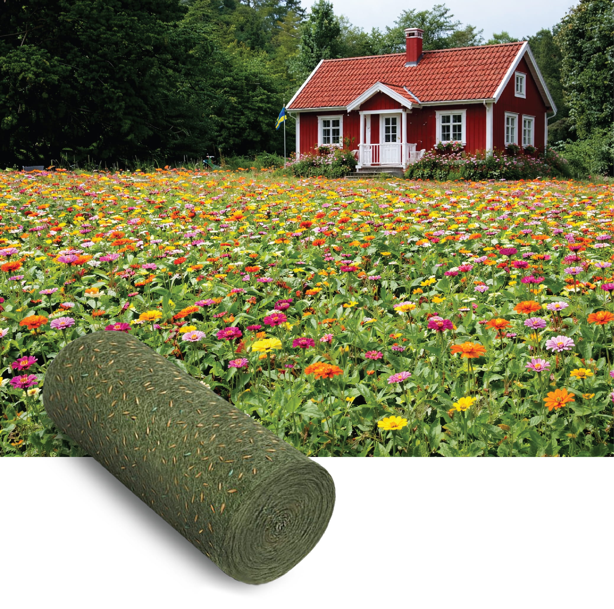 Zinnia Mix flowering result in vibrant mixed colours