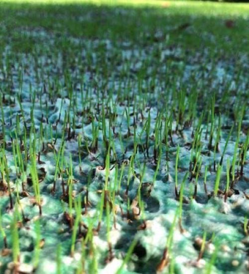 EcogrowTex
