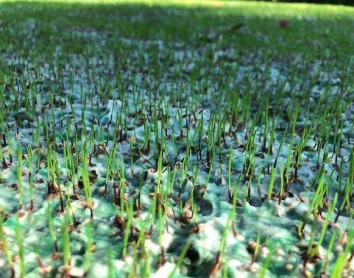 EcogrowTex