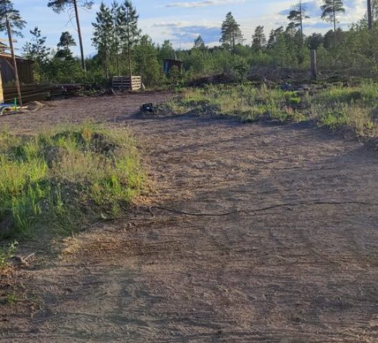Improve the soil