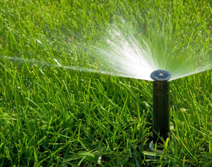 Irrigation water sprinkler
