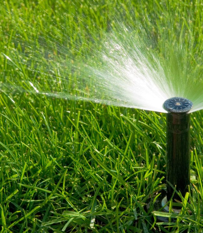 Irrigation water sprinkler