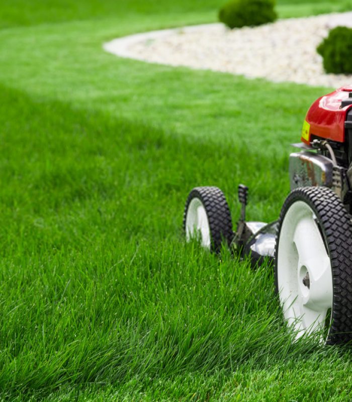 Grass Seed Mat