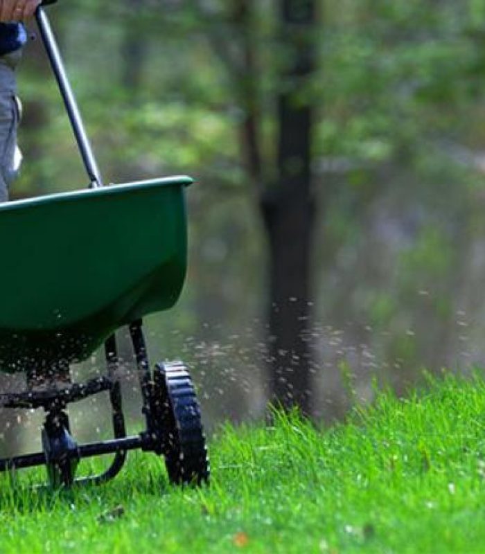 Nutrition and fertiliser