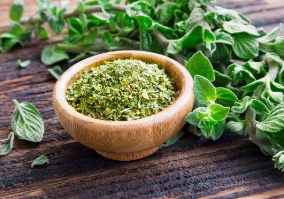 Oregano in the kitchen