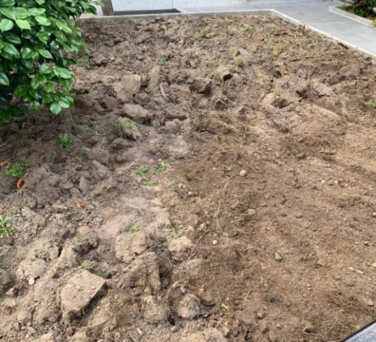 Remove old turf