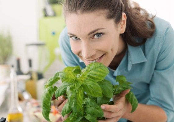 basil in the kitchen