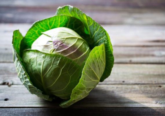 cabbage in the kitchen