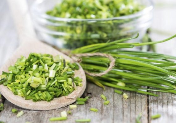 chives in the kitchen