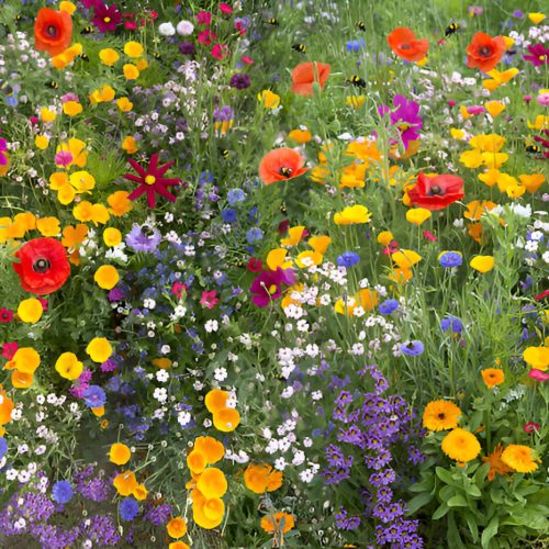 flowertex perennial wikdflowers