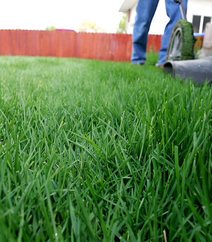grass mat
