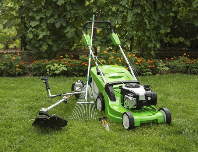 Lawn maintenance