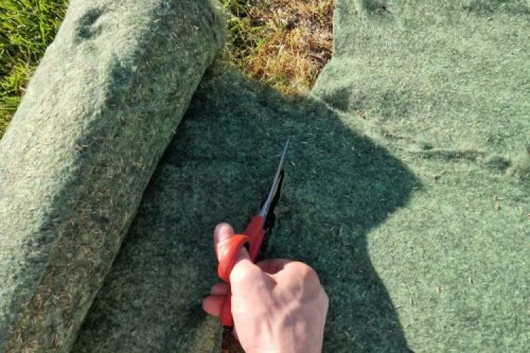 lawn repair