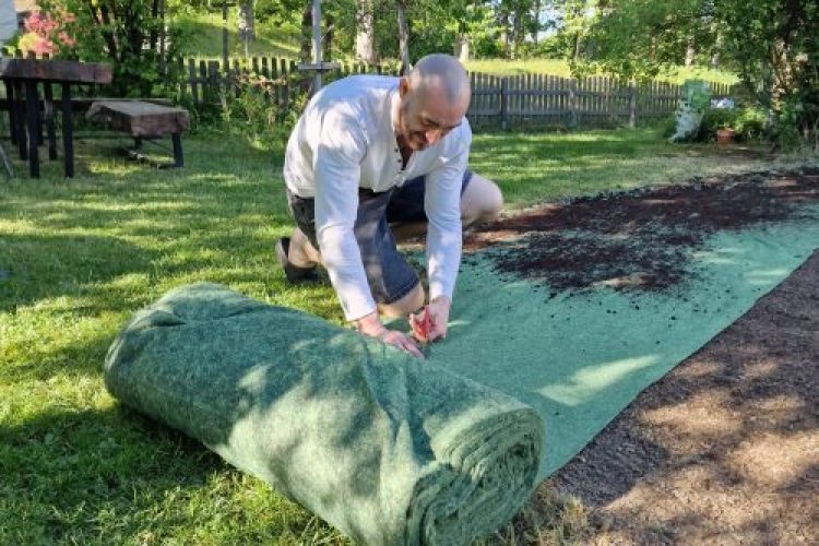 lay a lawn