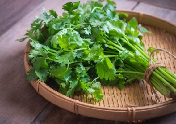 parsley in the kitchen