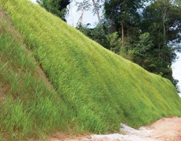 road verge and embankments grass seed mat